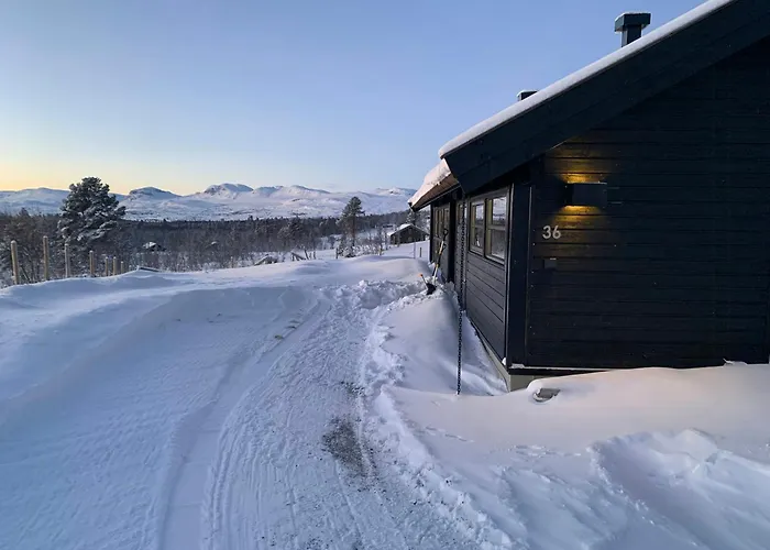 Modern With Views Of Hallingskarvet * Torpo