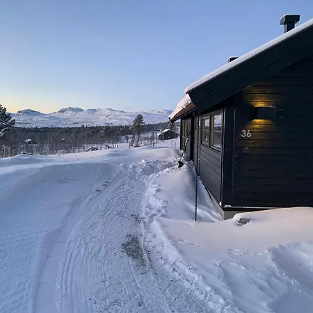 Modern With Views Of Hallingskarvet * Torpo